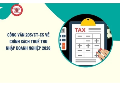 Toàn văn Công văn 203/CT-CS về chính sách thuế thu nhập doanh nghiệp 2026 chi tiết như thế nào?